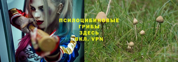 mdpv Беломорск
